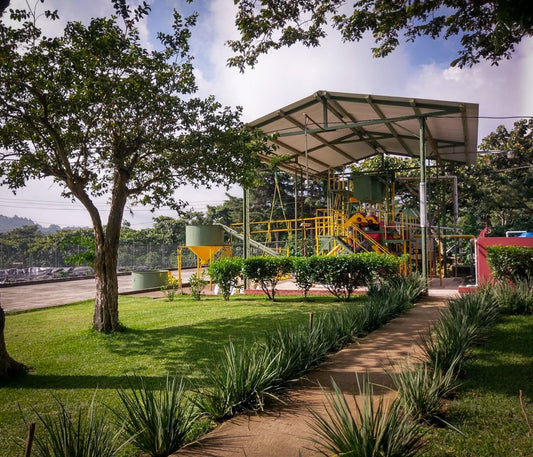 El Salvador - Siberia Red Bourbon