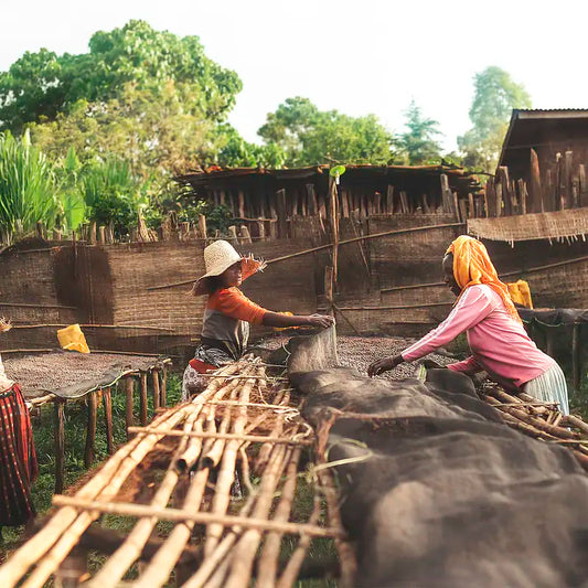 Etiopien - Gedeb Halo Beriti