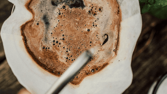 Närbild på kaffe som "bloomar" och frigör koldioxid i ett vitt Chemex-filter