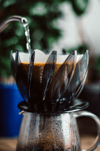 Hario V60 Suiren Dripper: Bemästra variablerna i din bryggning