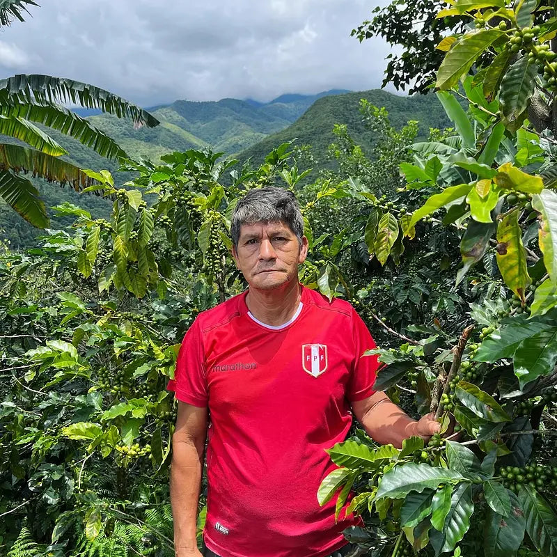 Peru Sequiapampa Lonya Grande