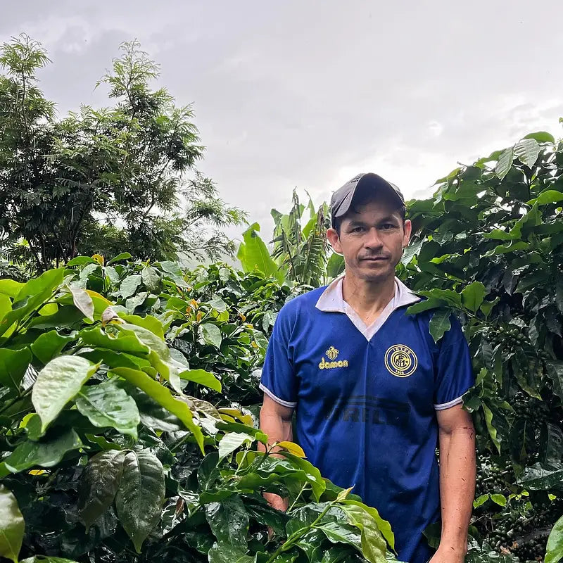 Peru Sequiapampa Lonya Grande