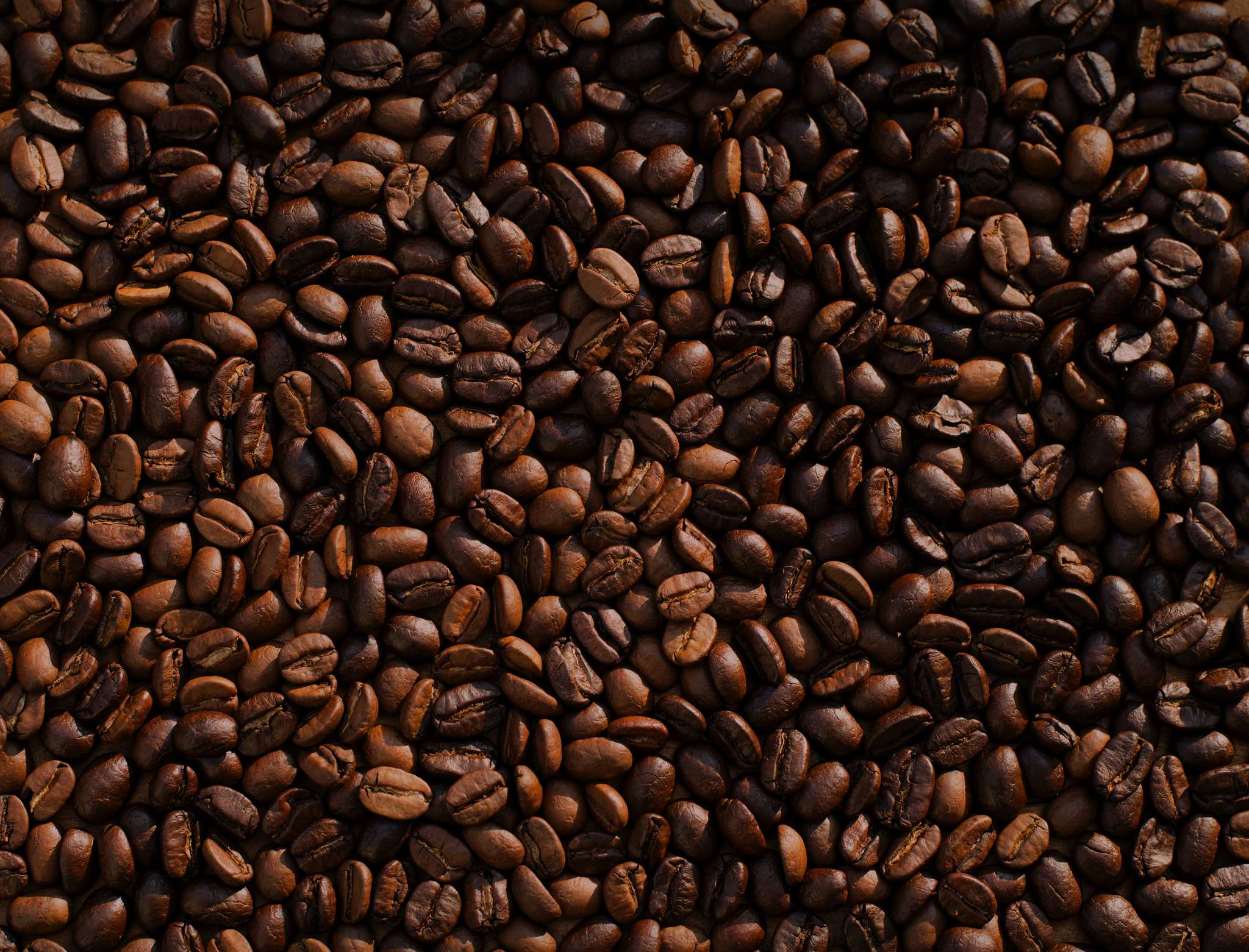 Kaffe bönor av specialkaffe, hög kvalitet