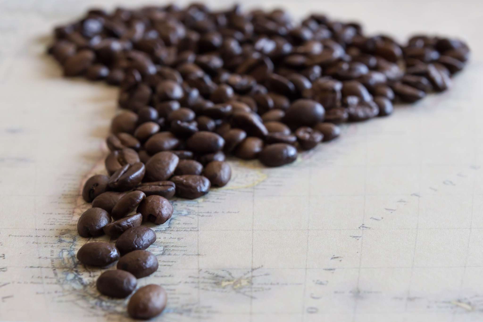 Kaffesorter Bönor utlagda på en världskarta